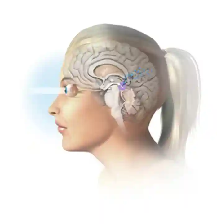 Melatonin is produced by various tissues in the body, although the major source is the pineal gland in the brain. Melatonin (blue) is produced naturally from the amino acid tryptophan, by the pineal gland (purple) at night-time. Night-time is detected by reduced light entering the eyes (left), and the arrow shows the melatonin secretion signal sent by the <a  tabindex='0' class='popover-dismiss' href='/glossary/o#optic-nerve' data-target-type='glossary' data-target-url='/glossary/o#optic-nerve' data-bs-toggle='popover' data-bs-trigger='focus' title='optic nerve' data-bs-content='1862' >optic nerve</a> to the pineal gland once darkness has fallen.