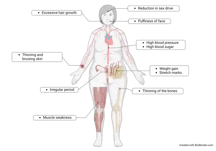 Figure 2 Final (1)