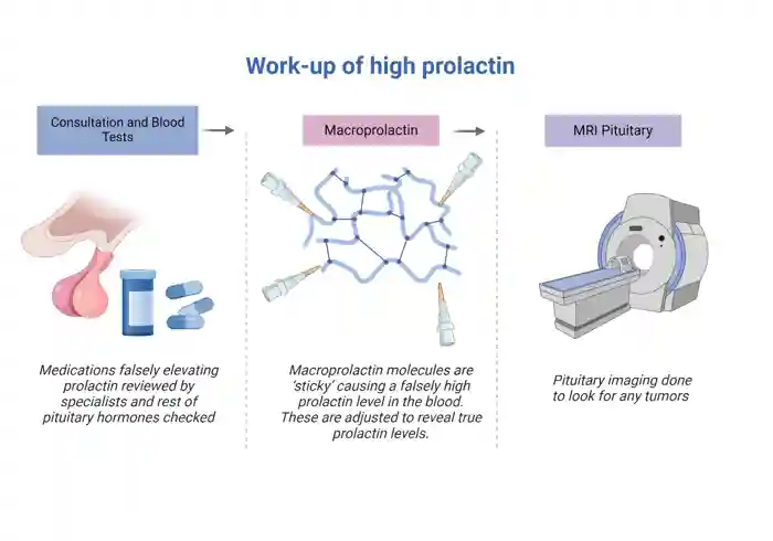 Treatment of high prolactin.